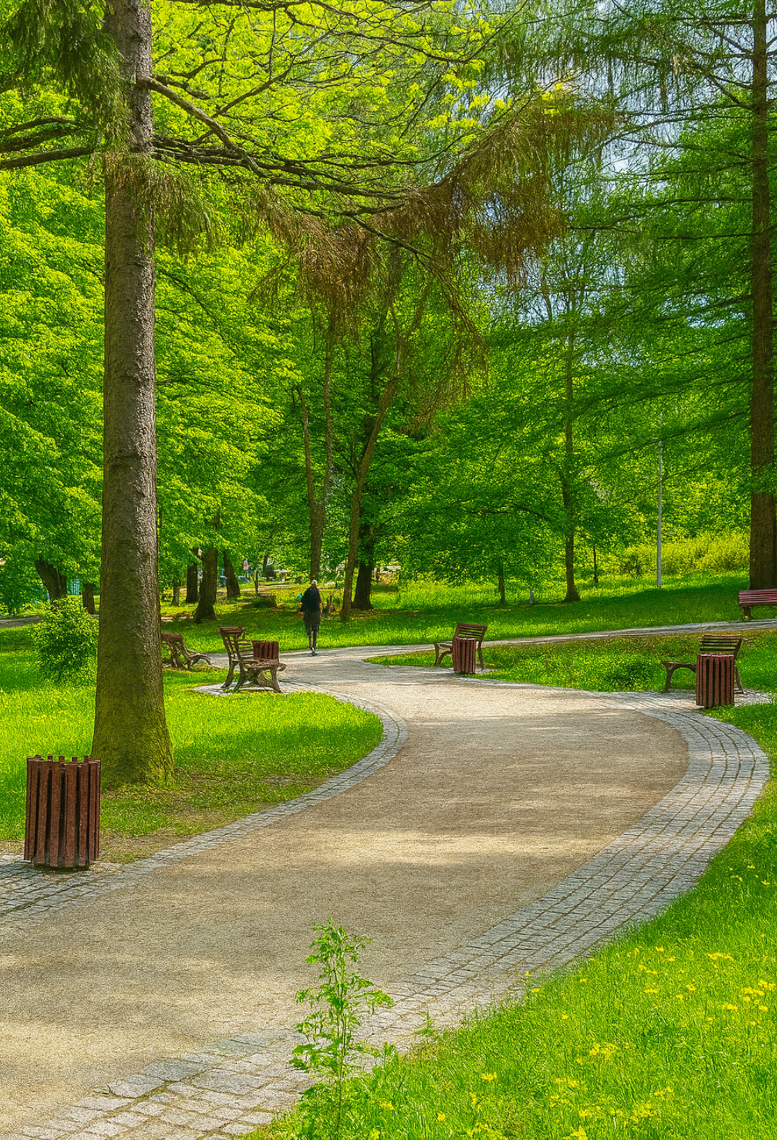 Maltepe Park Yapım Bakım